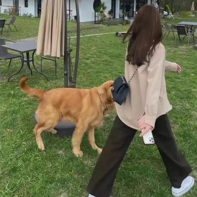 业余选手