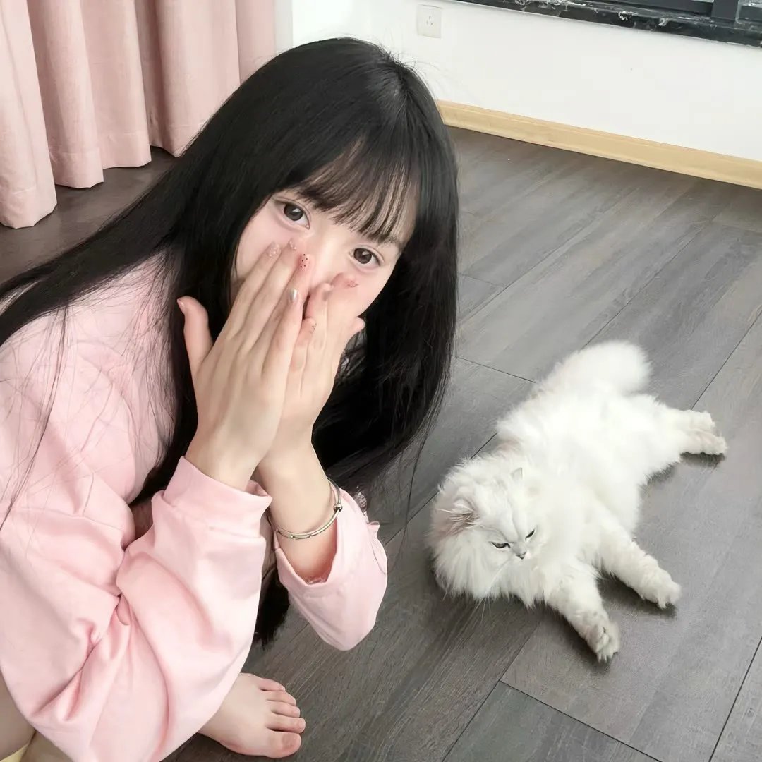 招惹玫瑰